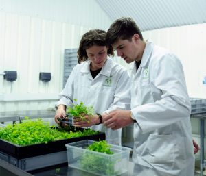 Regulation and responsible innovation